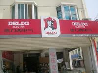 浙江德力西国际电工有限公司