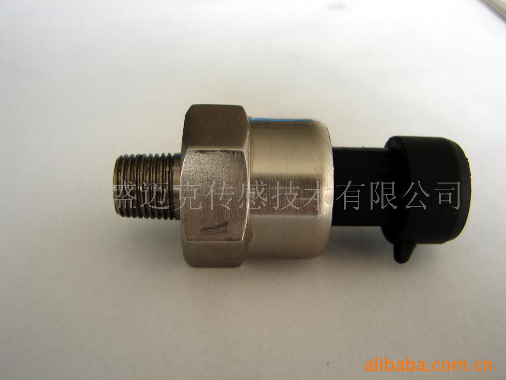 无锡盛迈克传感技术有限公司