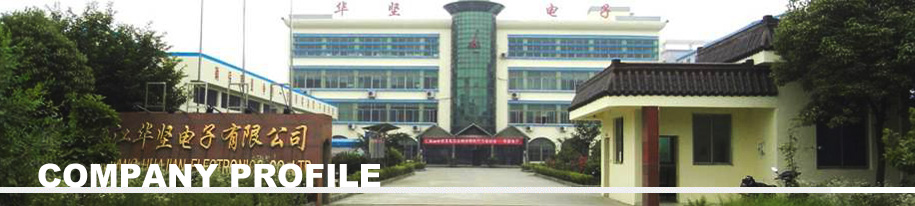 镇江华坚电子有限公司