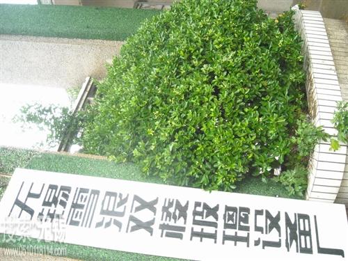 无锡雪浪双棱玻璃设备厂