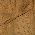 常州桂林木材经营部