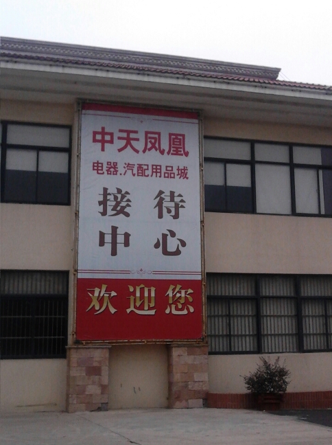 江苏中天凤凰电器城置业有限公司