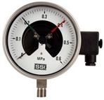 常州新区南方仪器仪表有限公司