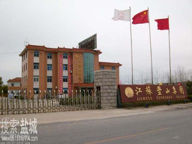 江苏丰山集团股份有限公司
