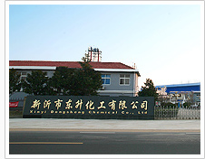 新沂市东升化工有限公司