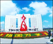 中国共产党江阴市委员会