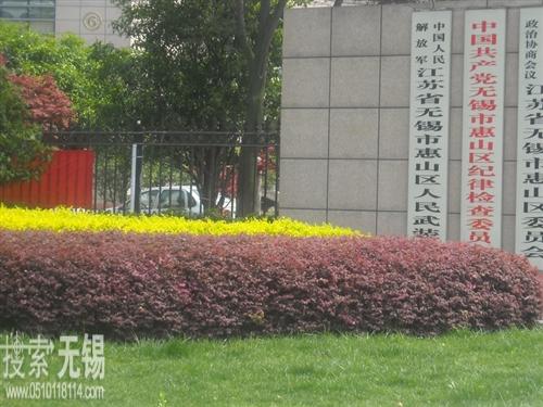 惠山区人民武装部