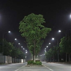 中国市政工程协会城市道路照明专业委员会