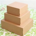 常州丰成包装制品有限公司