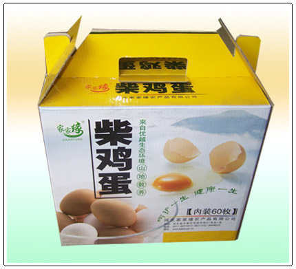 江阴斯诺飞重型纸箱包装有限公司