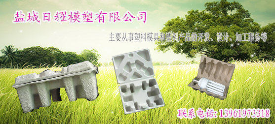 盐城日耀模塑有限公司