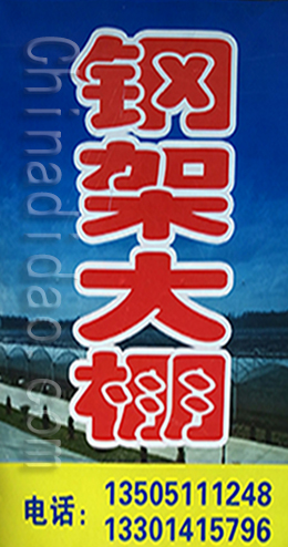 东台市三仓镇钢架大棚