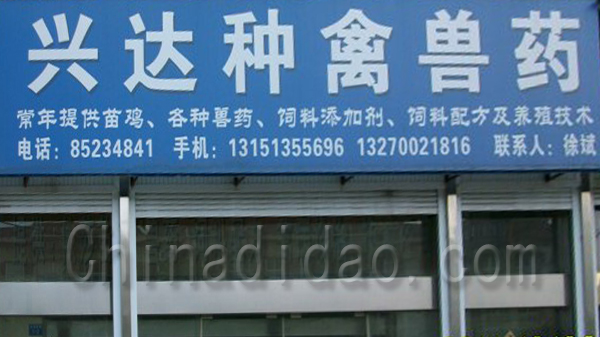 兴达种禽兽药