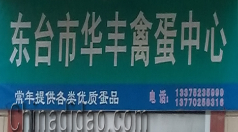 东台市许河镇华丰禽蛋中心