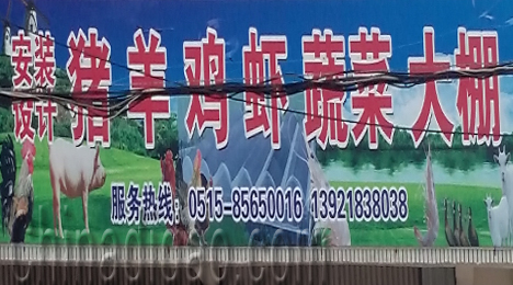 东台市唐洋镇安装设计大棚