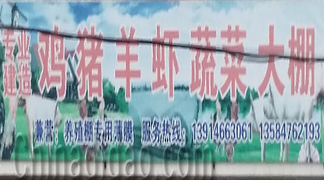 东台市唐洋镇专业建造大棚