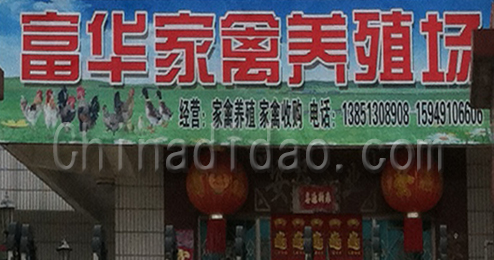 东台市富东镇富华家禽养殖场