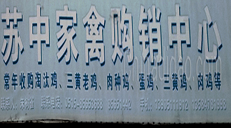 东台市唐洋镇苏中家禽购销中心
