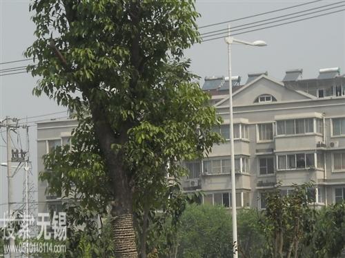 无锡市滨湖区攀攀搬家有限公司