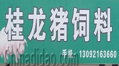 东台市唐洋镇桂龙猪饲料
