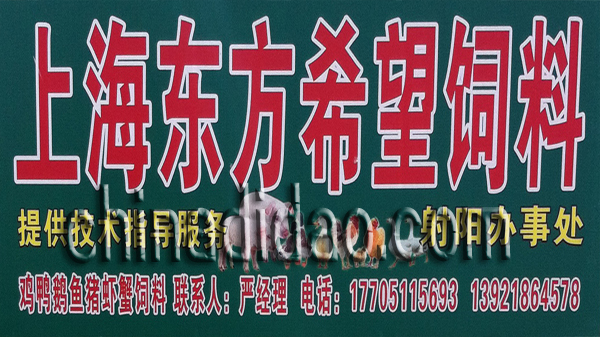 上海东方希望饲料