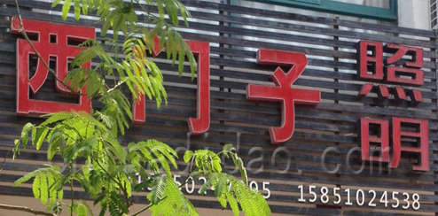 东台市溱东镇西门子照明