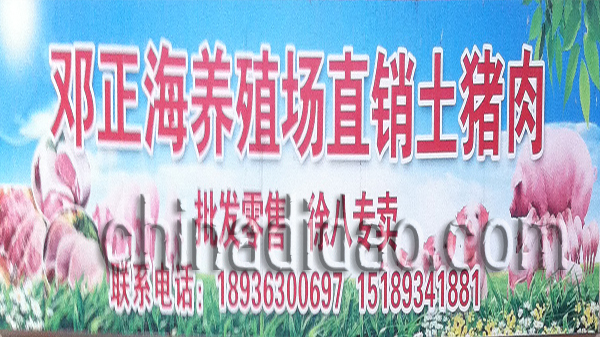邓正海养殖场直销土猪肉