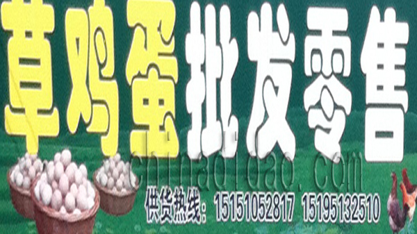 草鸡蛋批发零售
