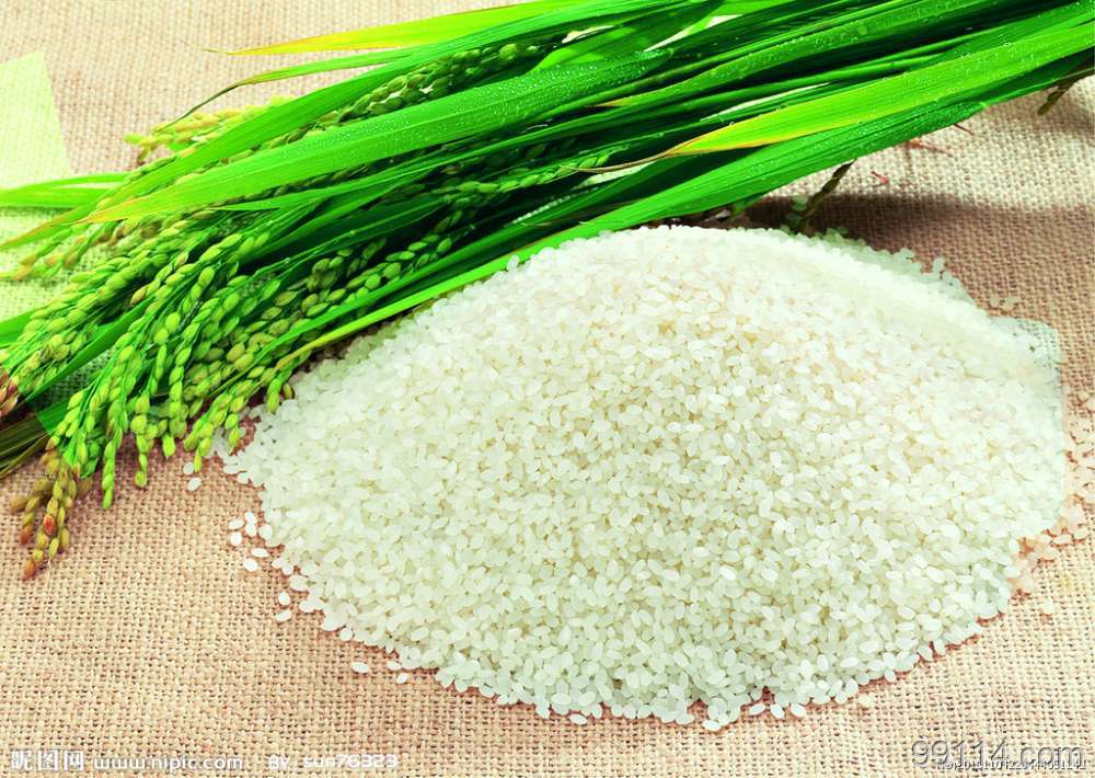 射阳县苏禾米厂