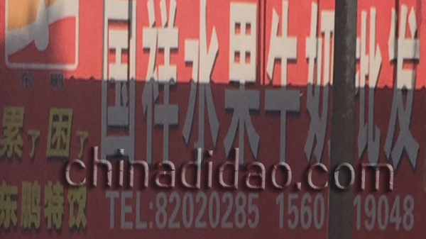 国祥水果牛奶批发