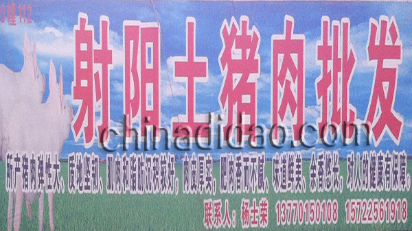 射阳土猪肉批发