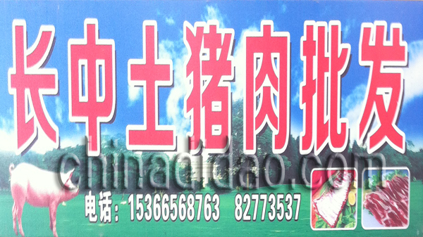 长中土猪肉批发