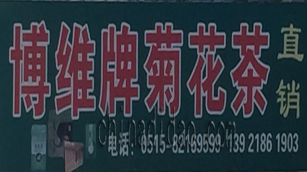 博维牌菊花茶直销