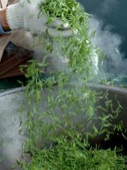 宜兴市太华镇太平茶厂