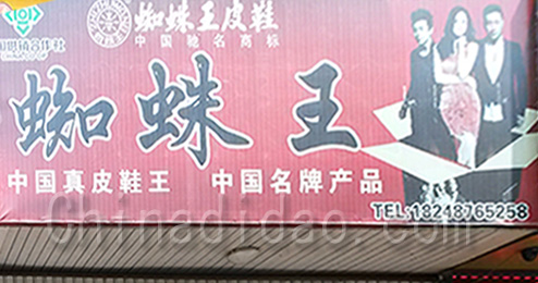 东台市时堰镇蜘蛛王