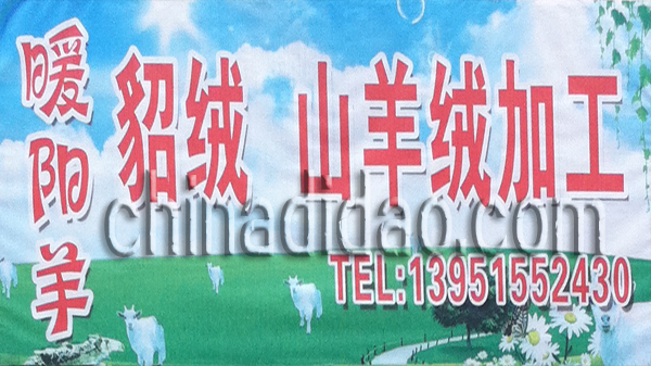 暖阳羊 貂绒 山羊绒加工