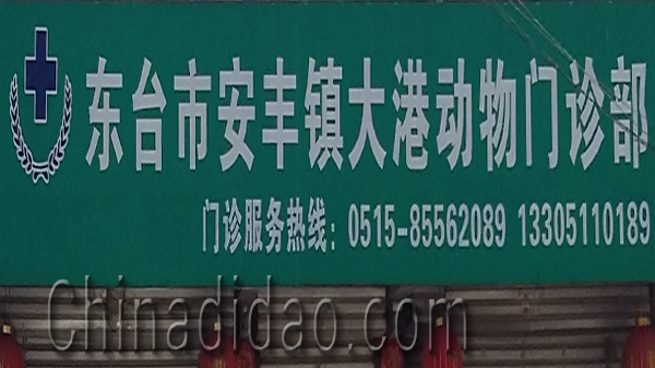 东台市安丰镇大港动物门诊部