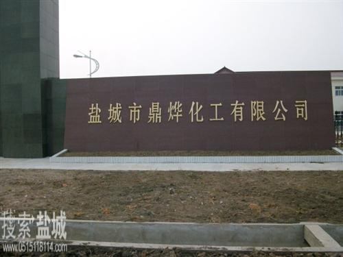 盐城市鼎烨药业有限公司