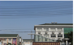 常州市武进动物药品有限公司