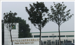 常州千红生化制药股份有限公司