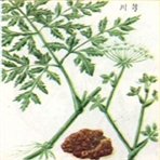 溧阳市中草药研究会