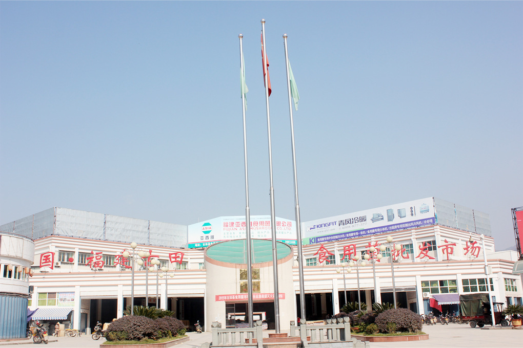 福建省古田县大丰工贸有限公司