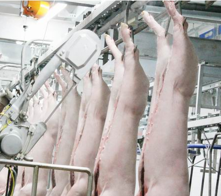 滨海汇利肉类加工有限公司