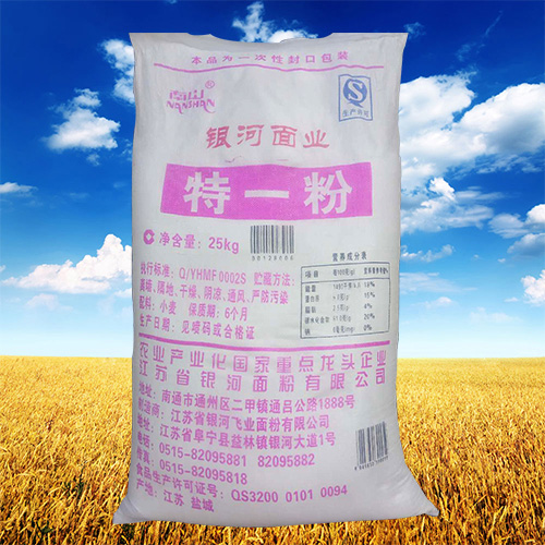 江苏省银河飞业面粉有限公司