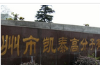 常州市凯泰高分子有限公司