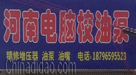 东台市弶港镇河南电脑校油泵