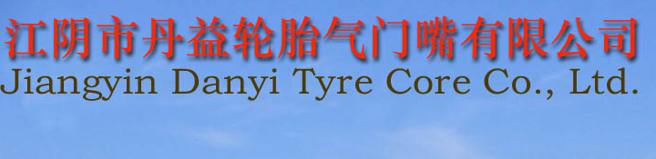 丹益轮胎气门嘴有限公司