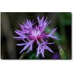 无锡恒亿达环境科技有限公司