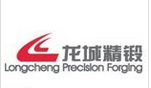 江苏龙城精锻有限公司