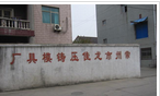常州市龙佳压铸模具有限公司